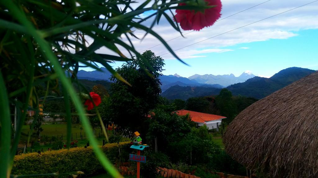 Coliving La Boira Jardín Exterior foto