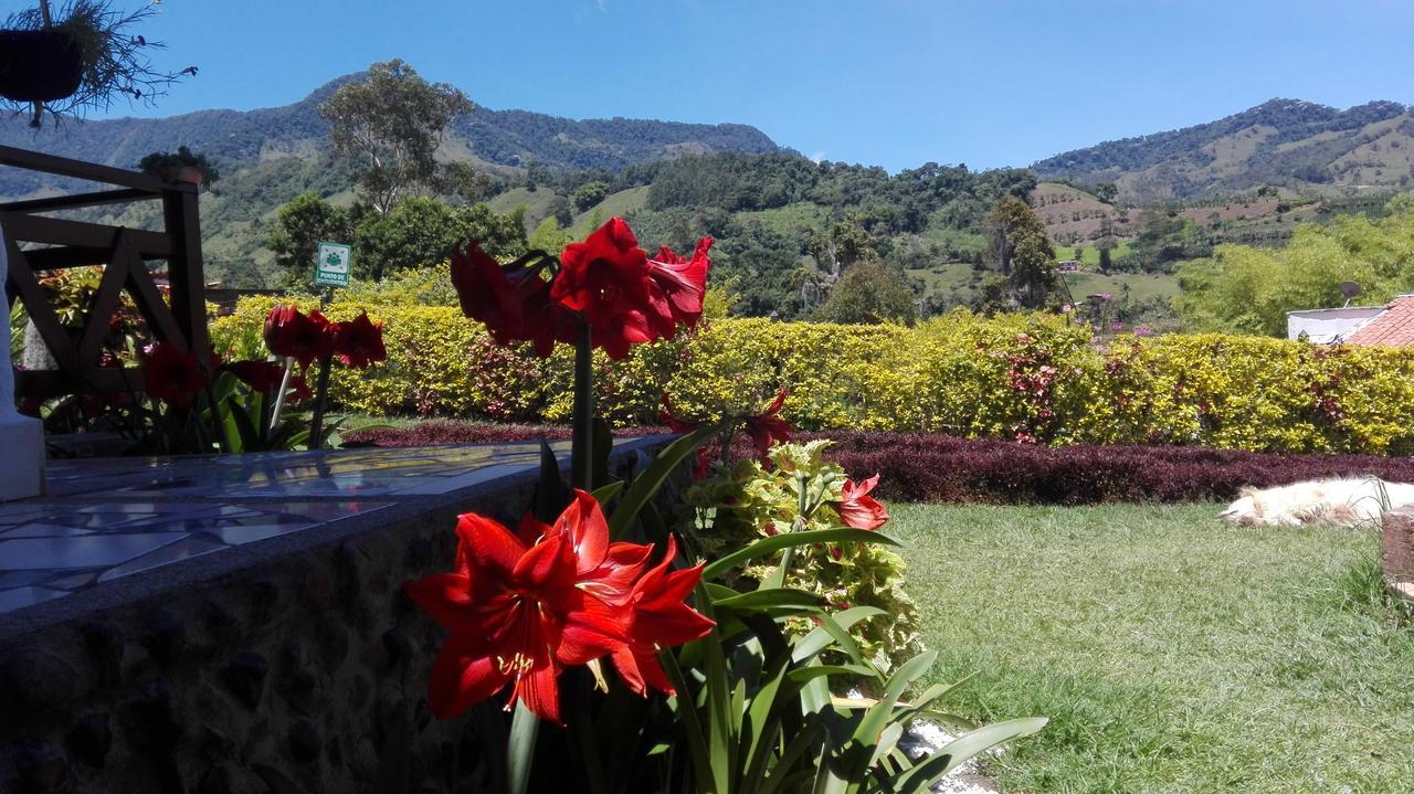 Coliving La Boira Jardín Exterior foto